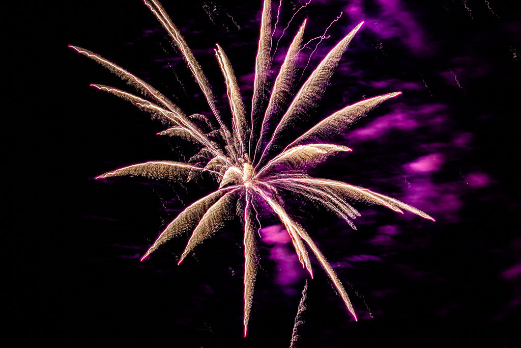 Fireworks 2020-2890.jpg